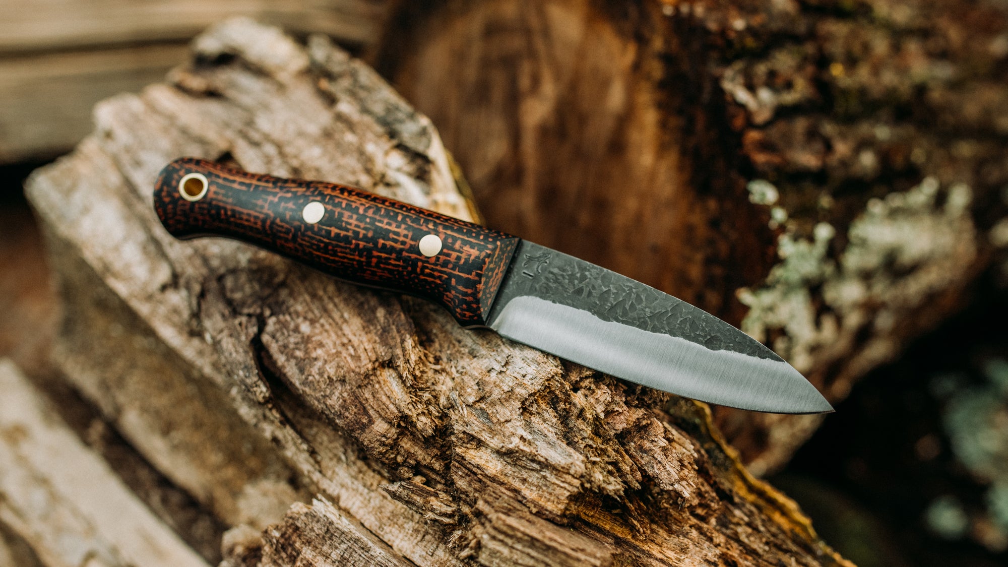 Bobcat
