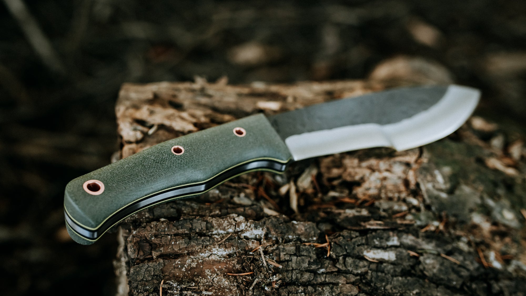 Bullshark - $600