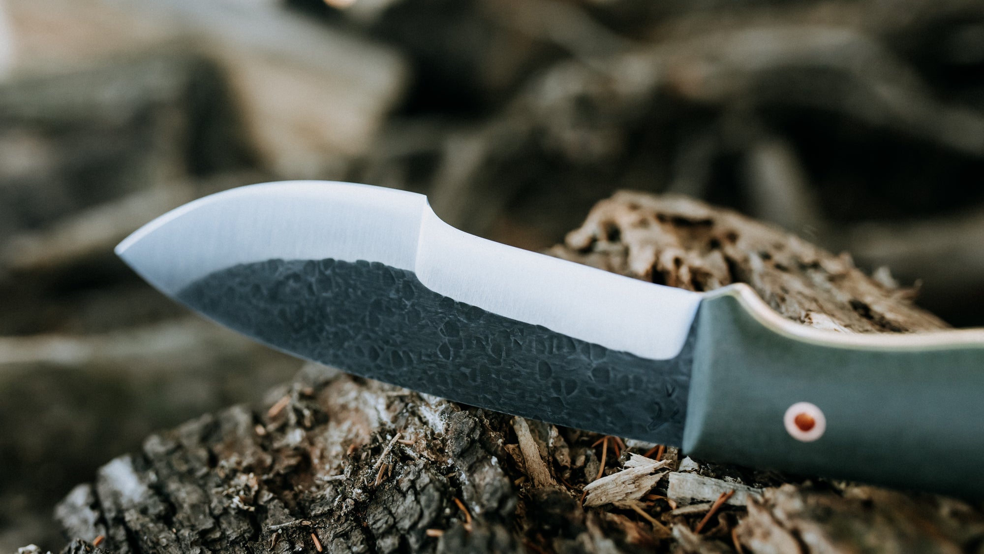 Bullshark - $600