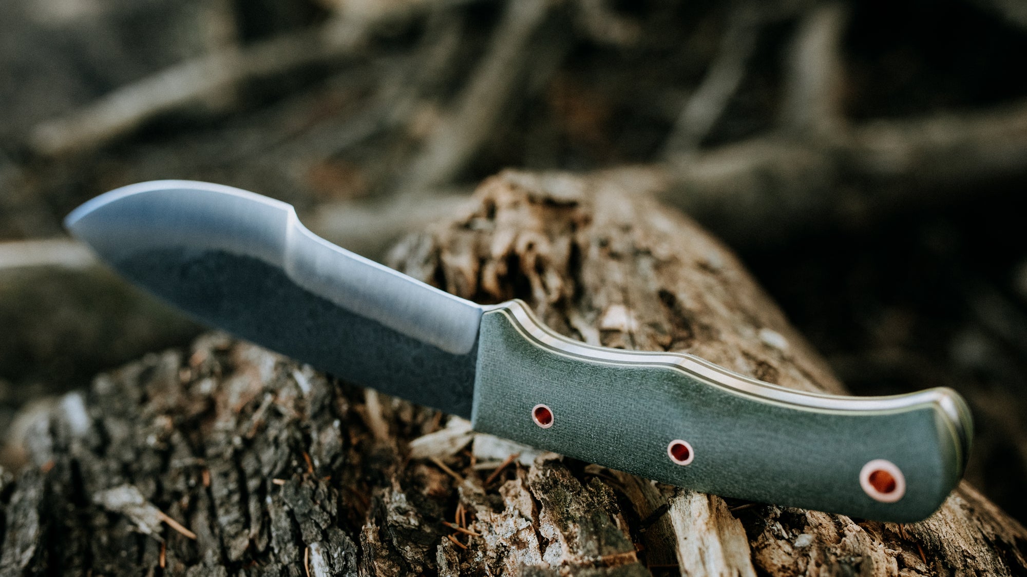Bullshark - $600