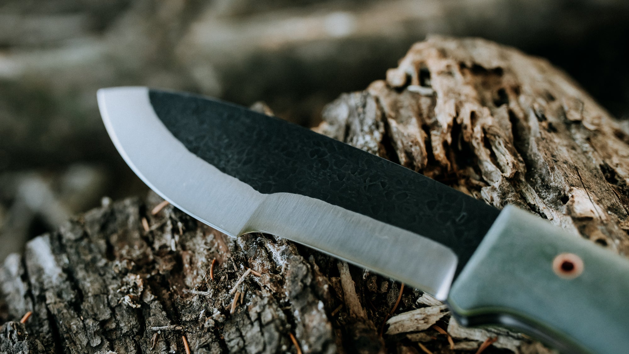Bullshark - $600