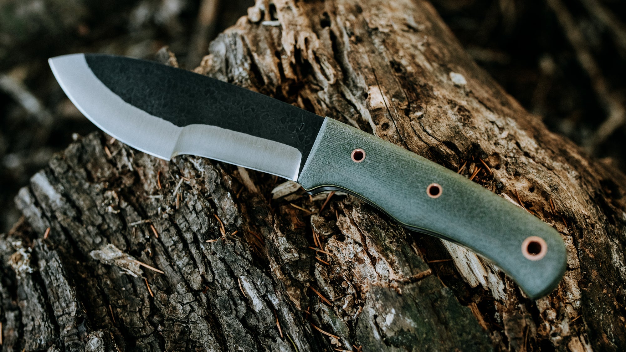 Bullshark - $600