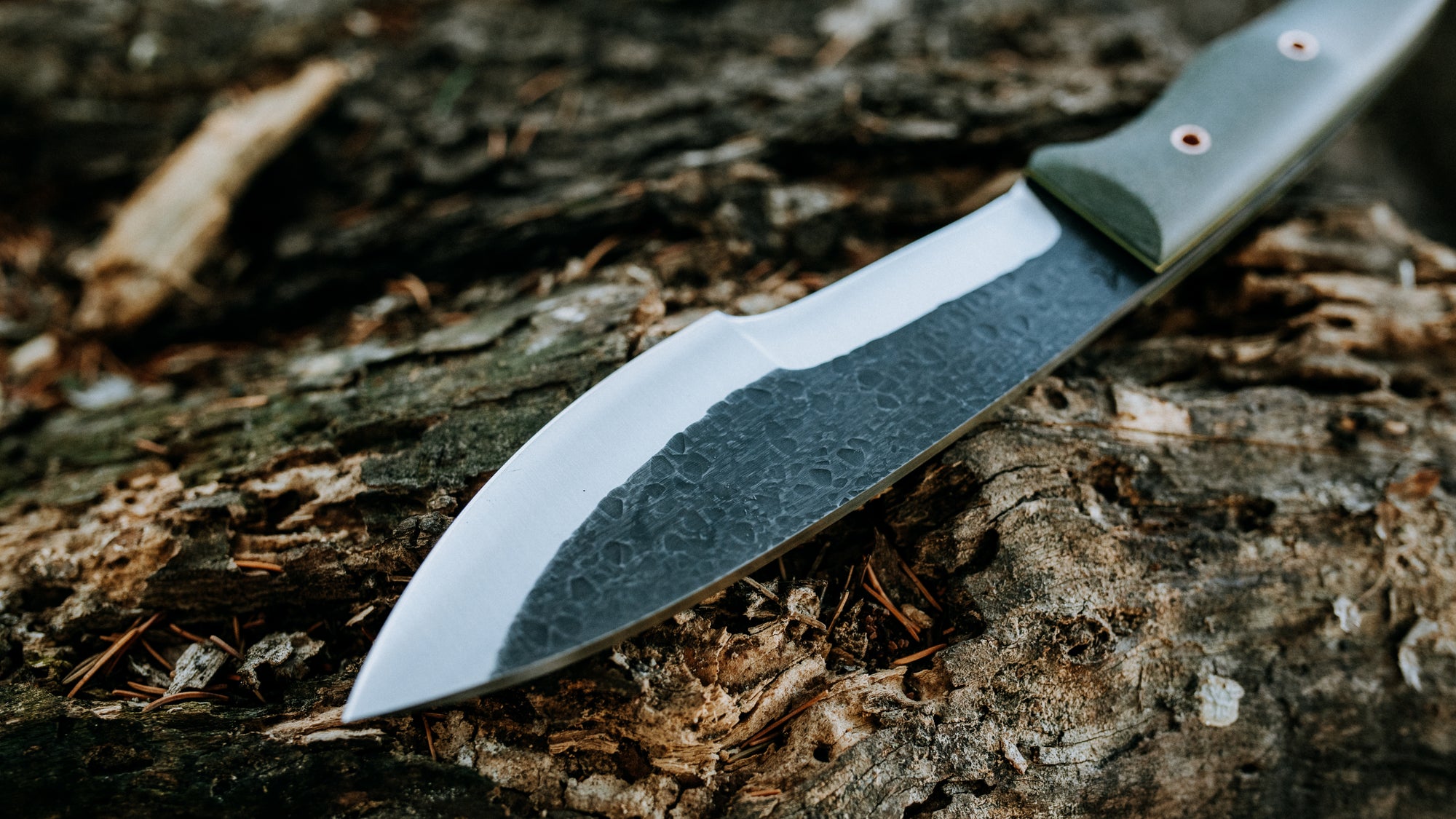 Bullshark - $600