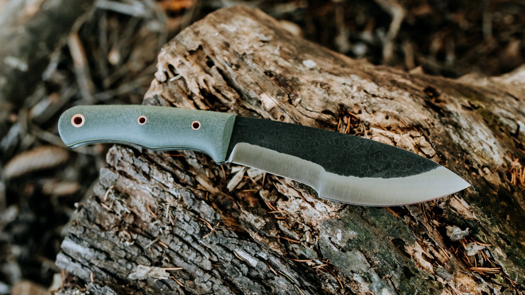 Bullshark - $600