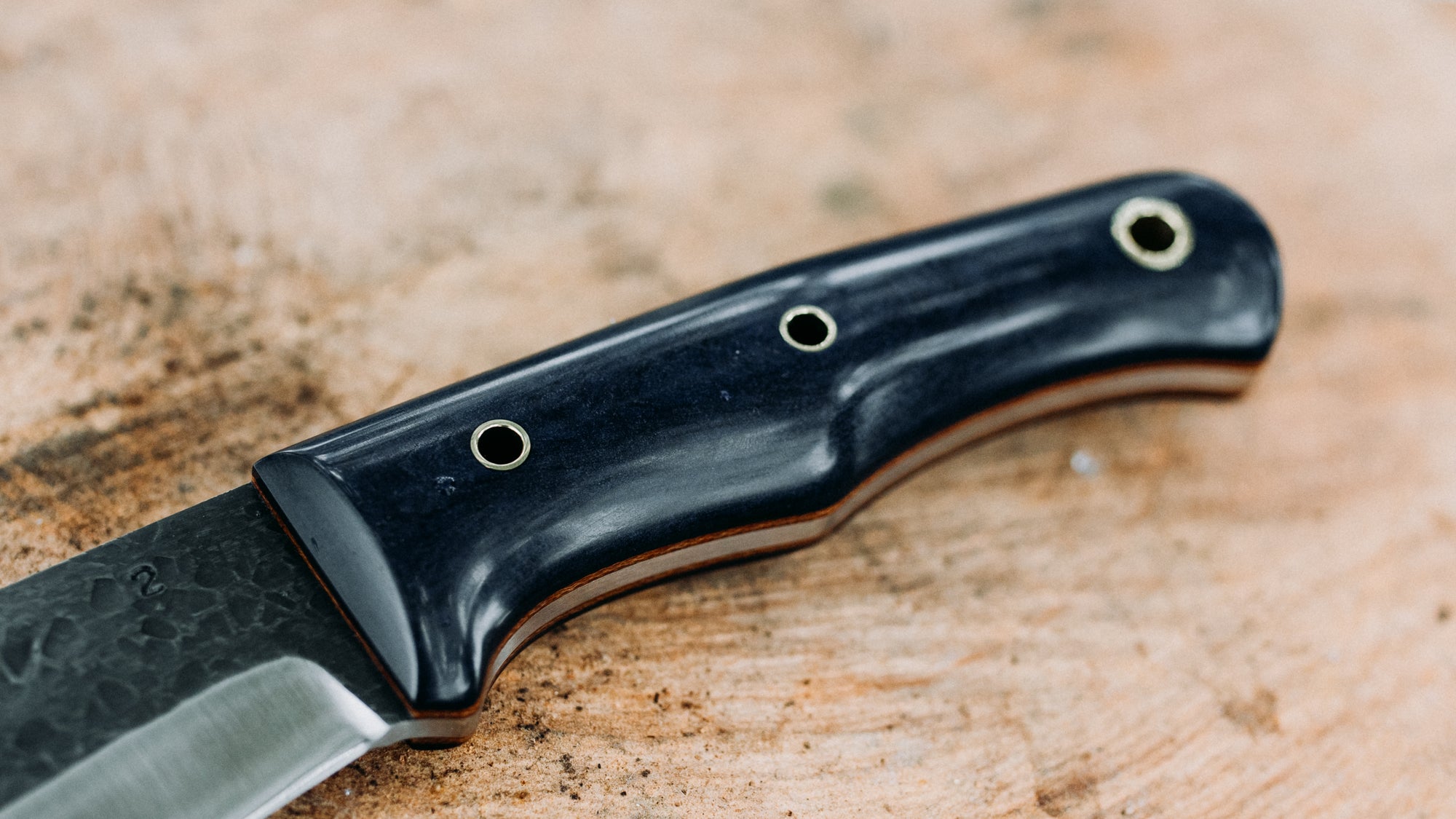 Bullshark - $600