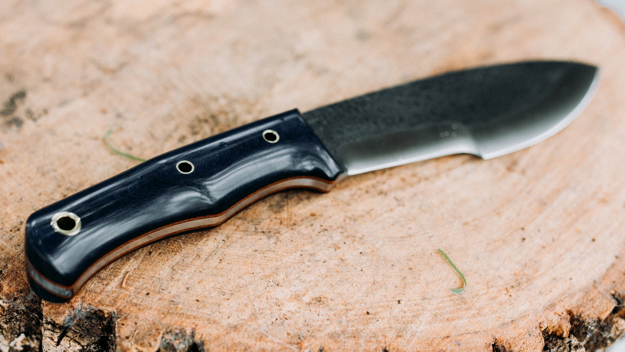 Bullshark - $600