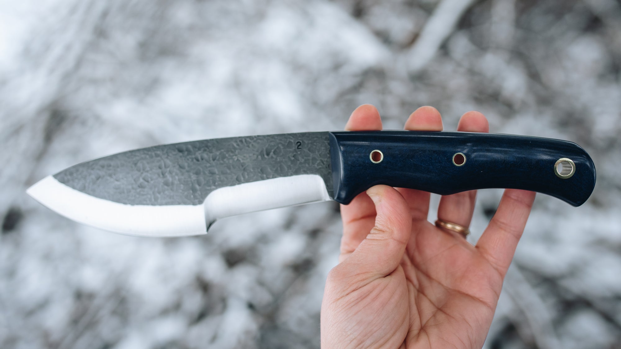 Bullshark - $600