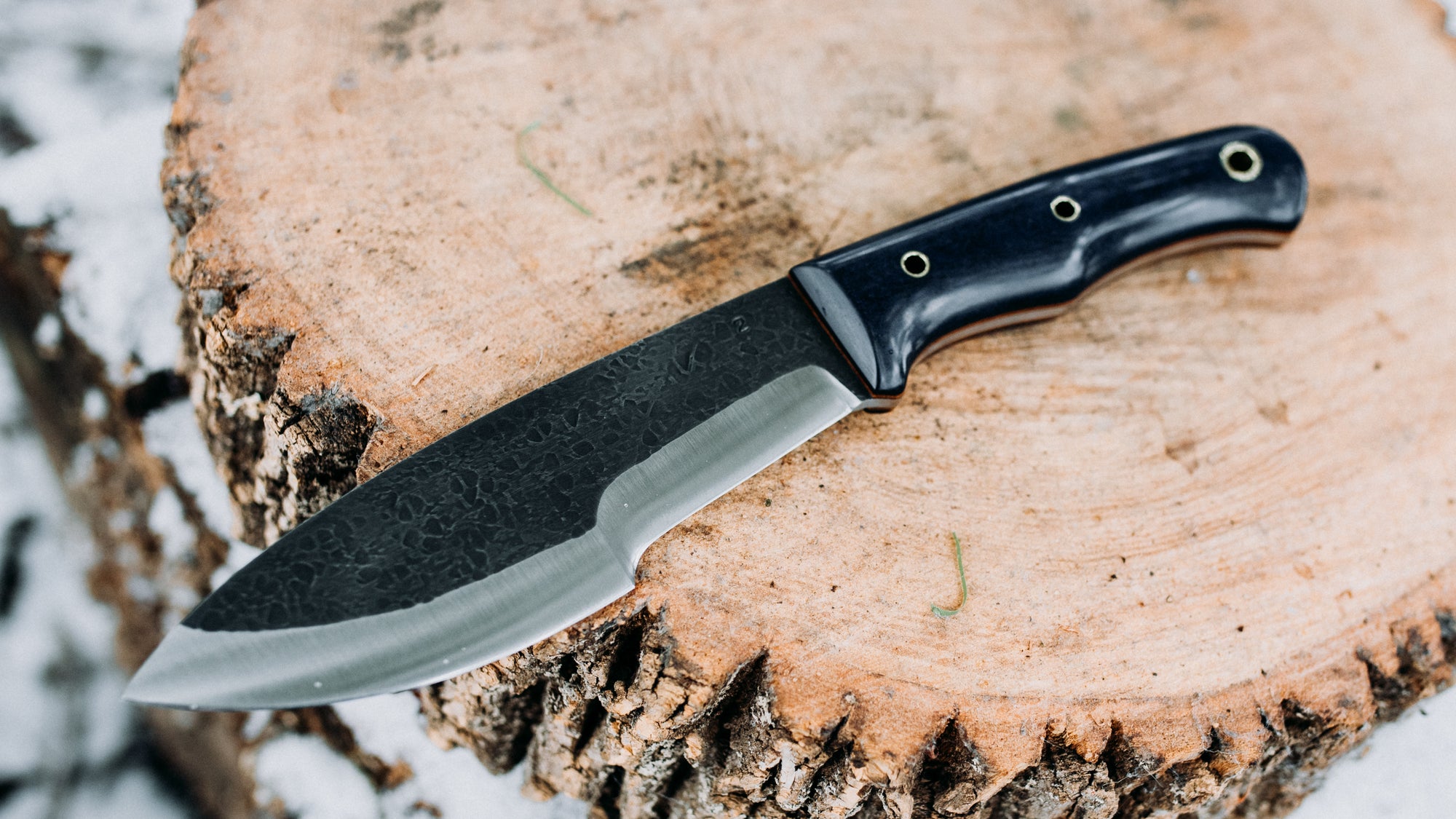 Bullshark - $600