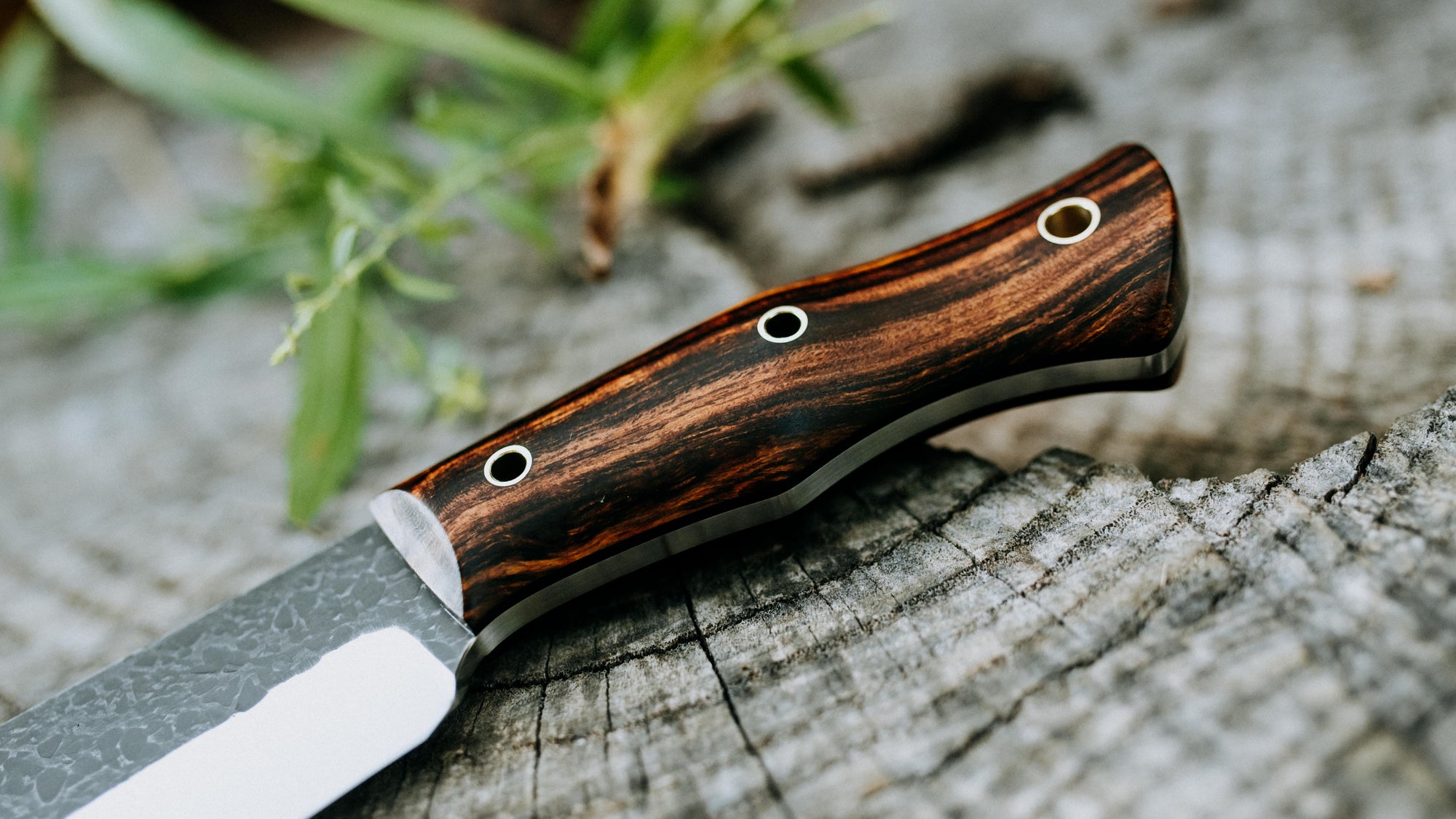 Grizzly