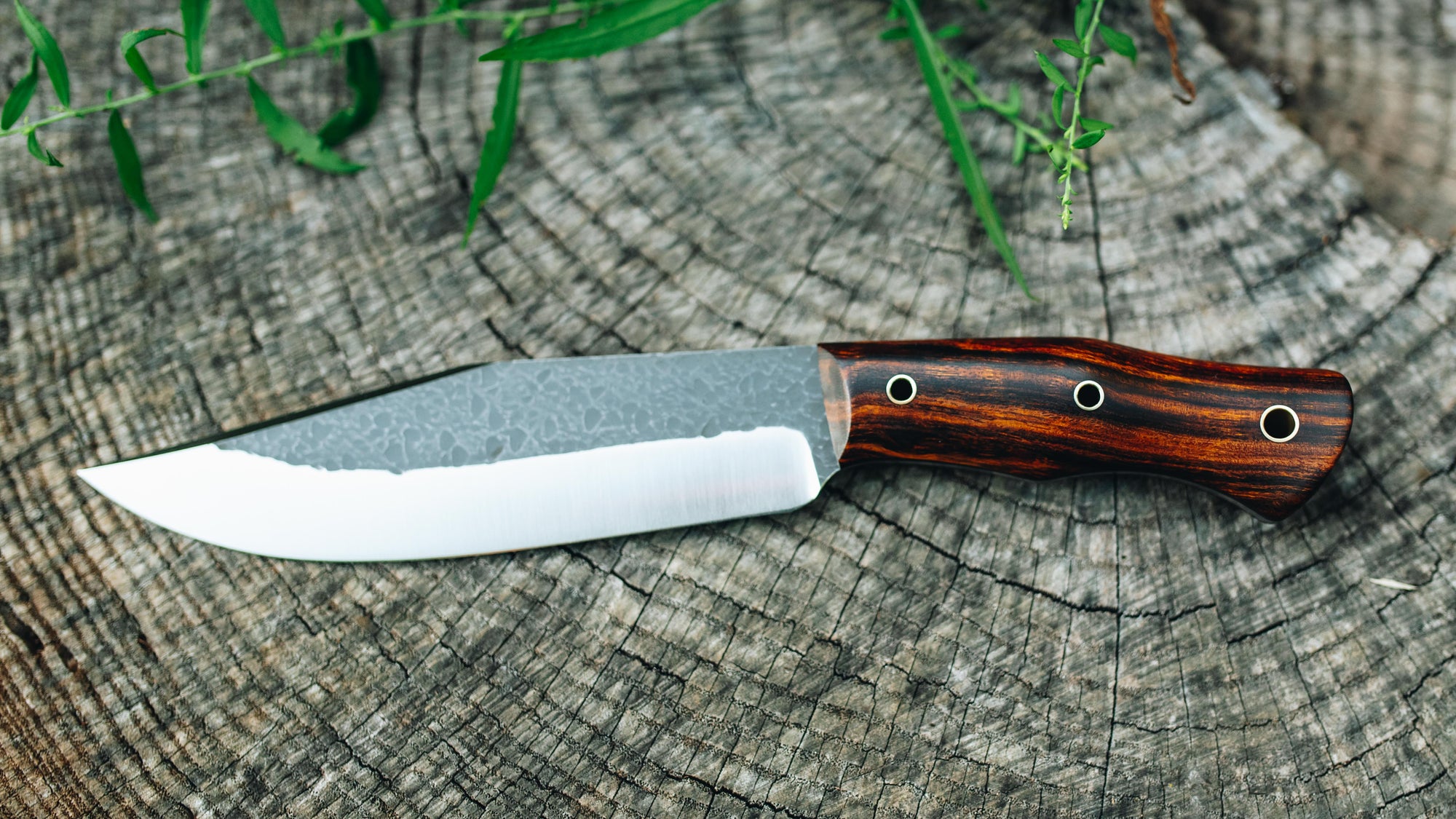 Grizzly