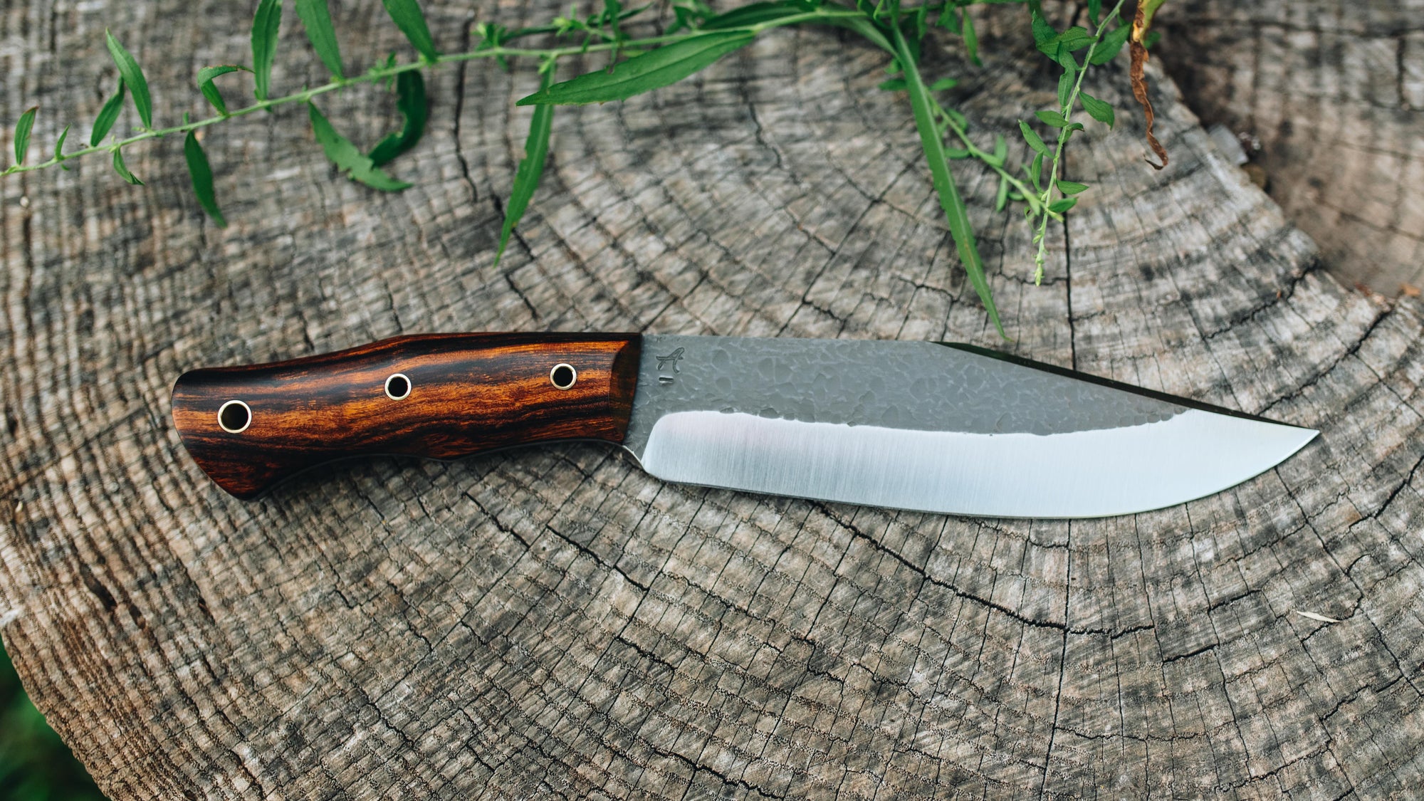 Grizzly