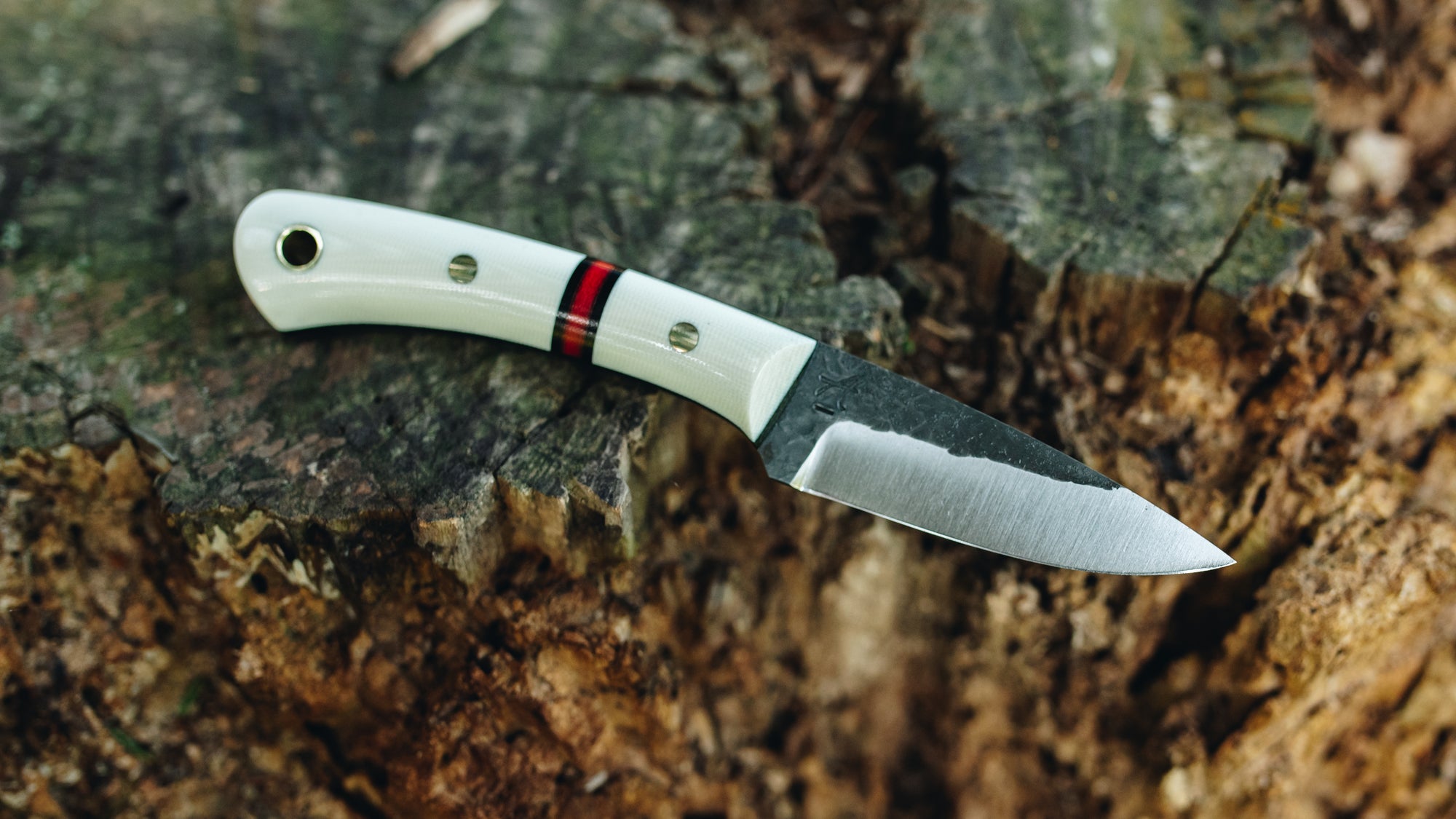 Trapper