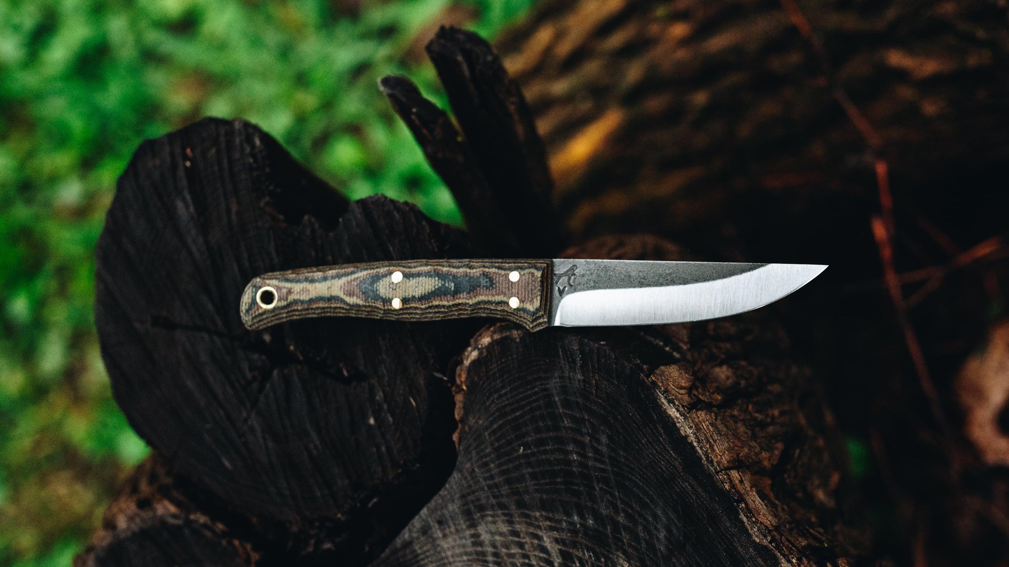 Quail - in textured camo canvas - (CPM 3V)