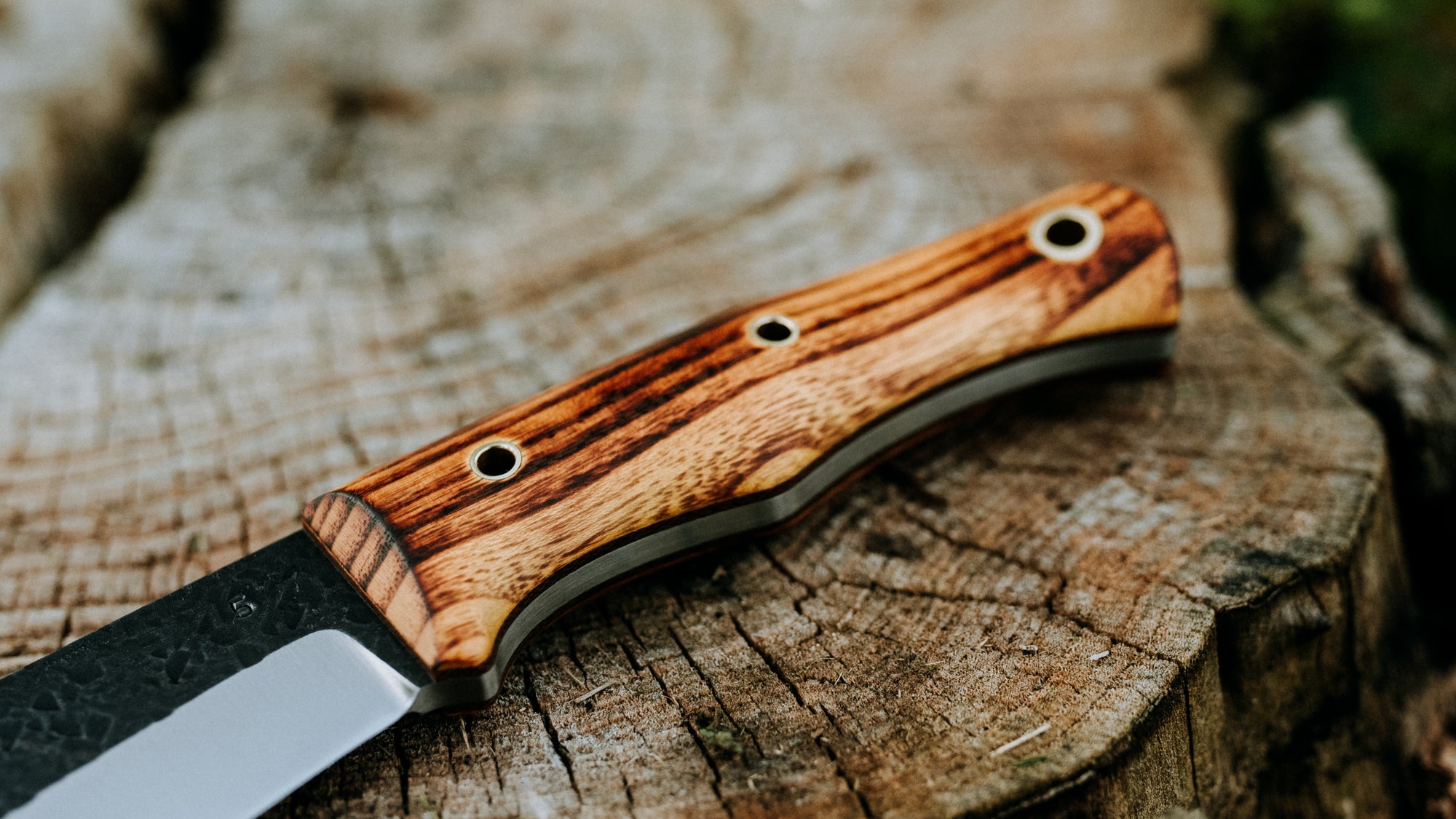 Bullshark - $600