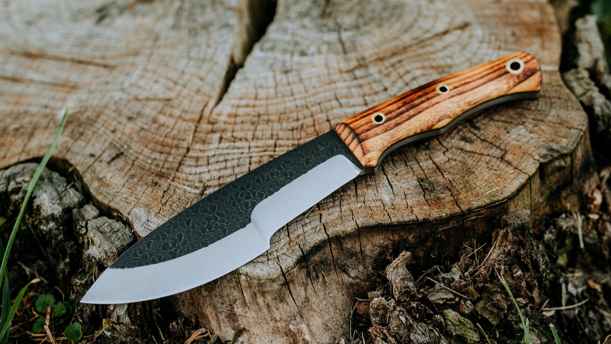 Bullshark - $600