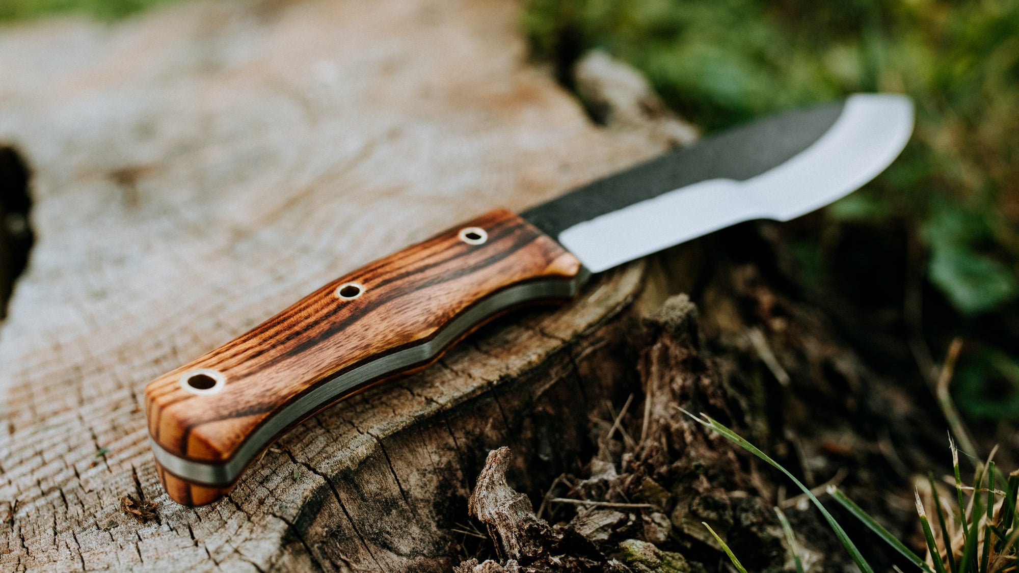 Bullshark - $600