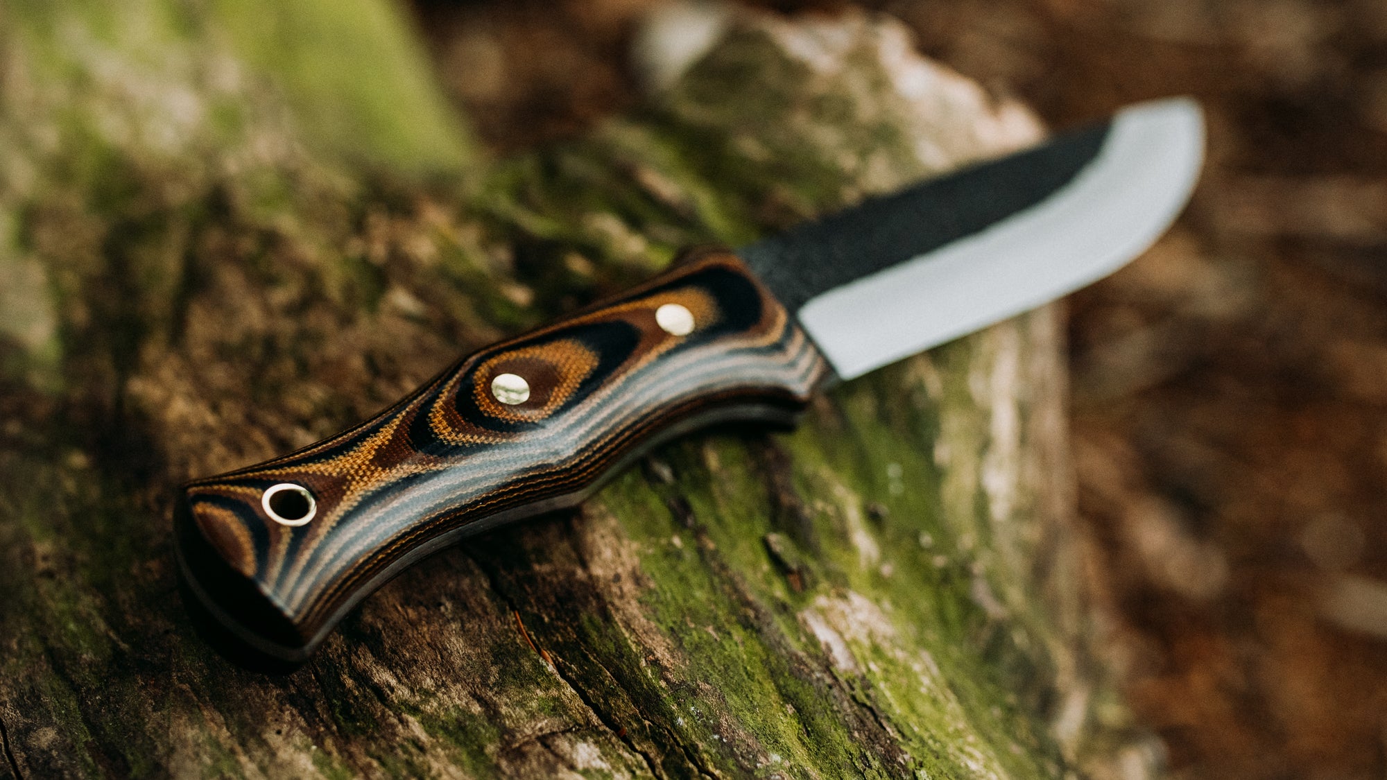 Honey Badger