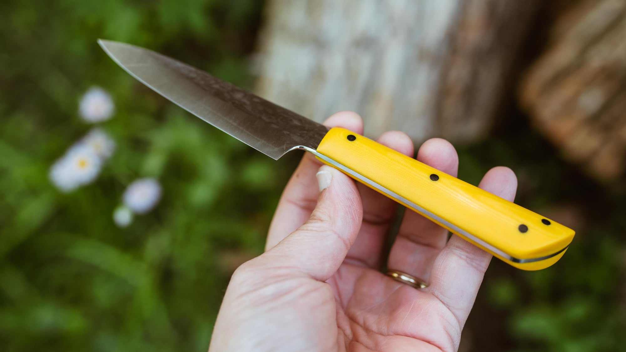3.5" Japanese Paring