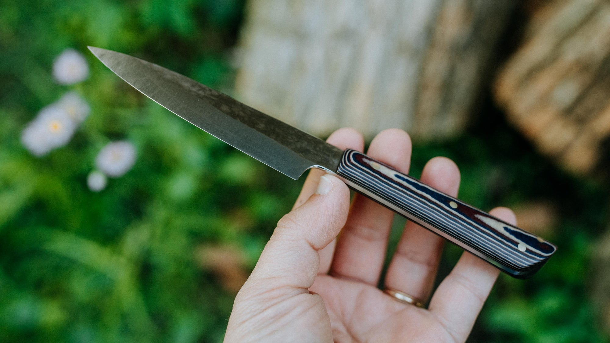 3.5" Japanese Paring