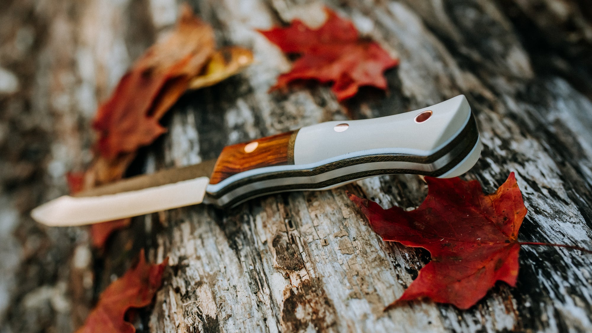 Woodsmaster