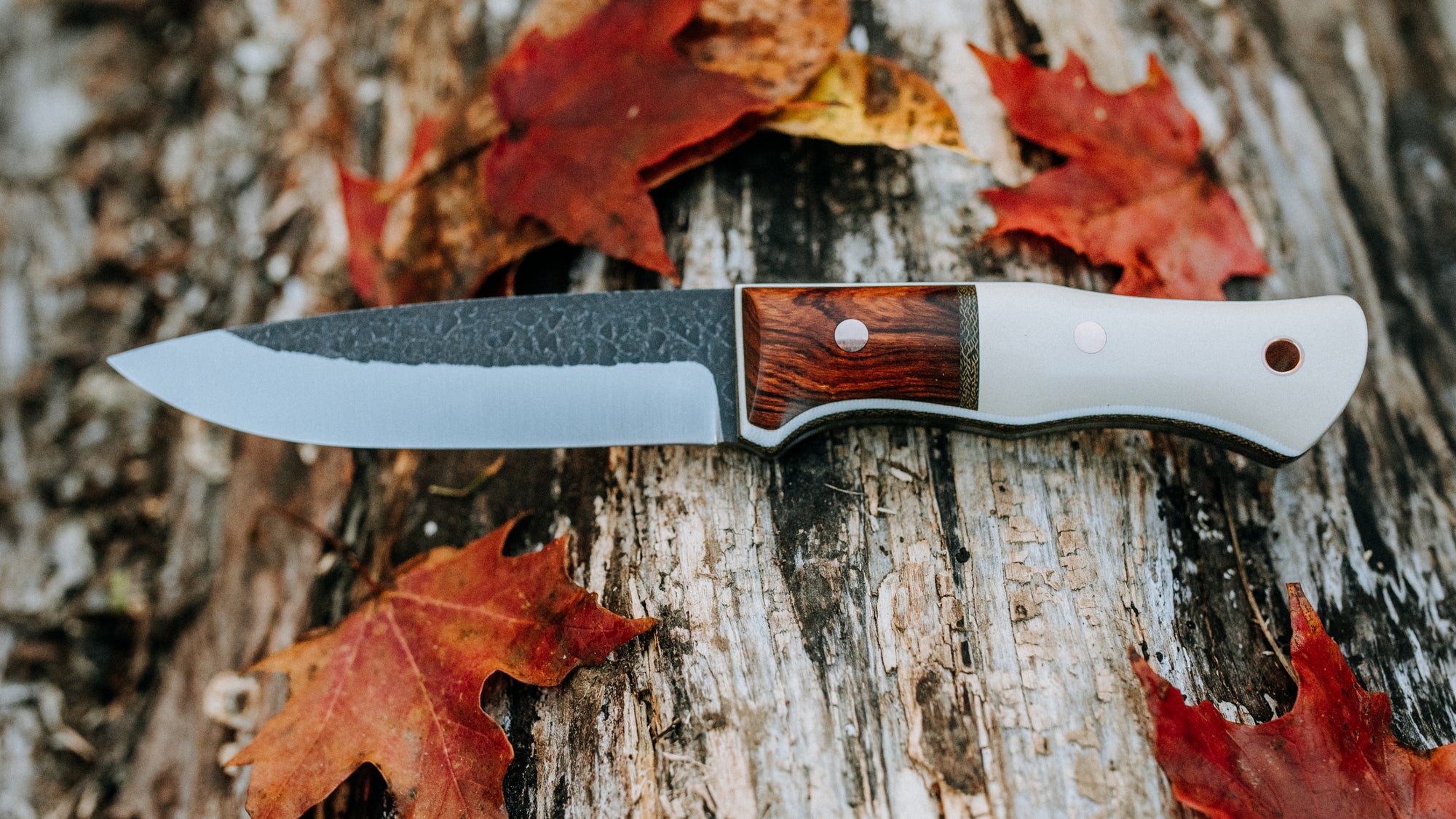 Woodsmaster