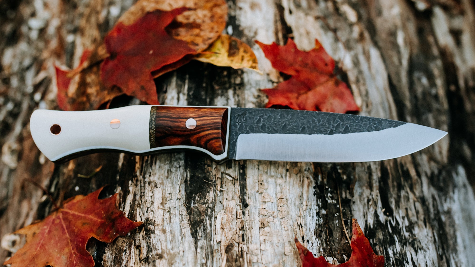 Woodsmaster