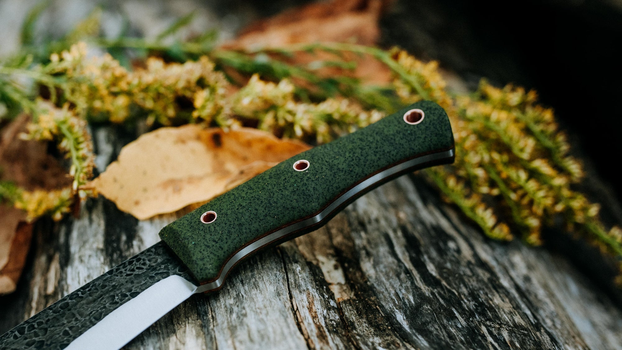 Bullshark - $600