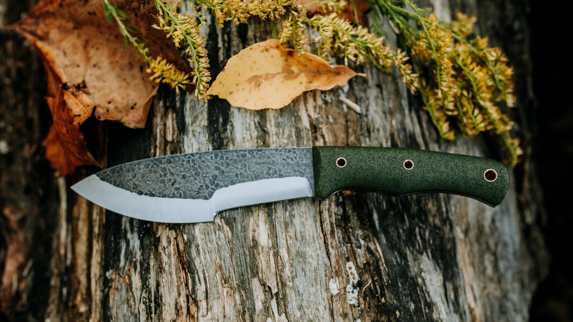 Bullshark - $600