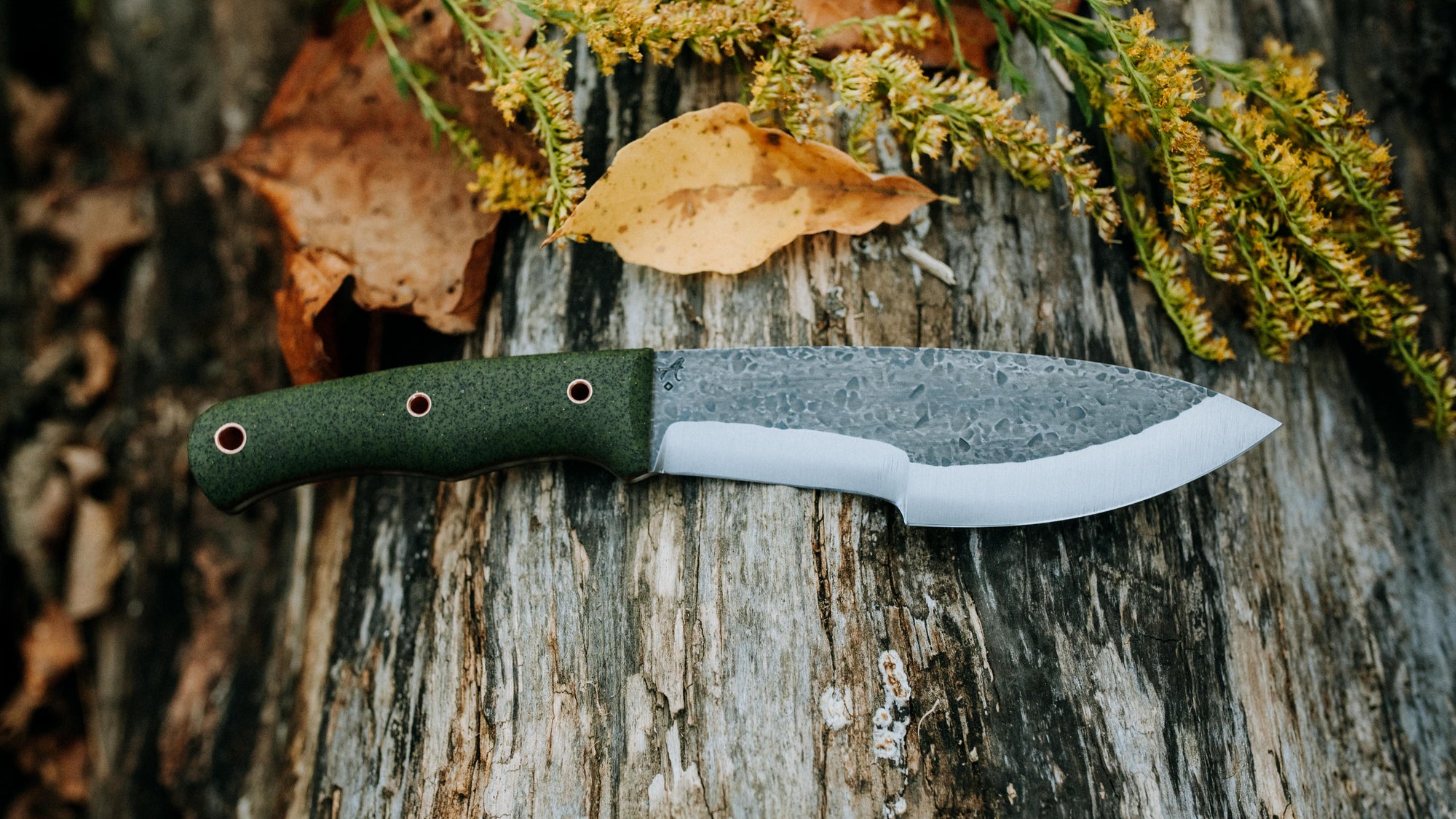 Bullshark - $600