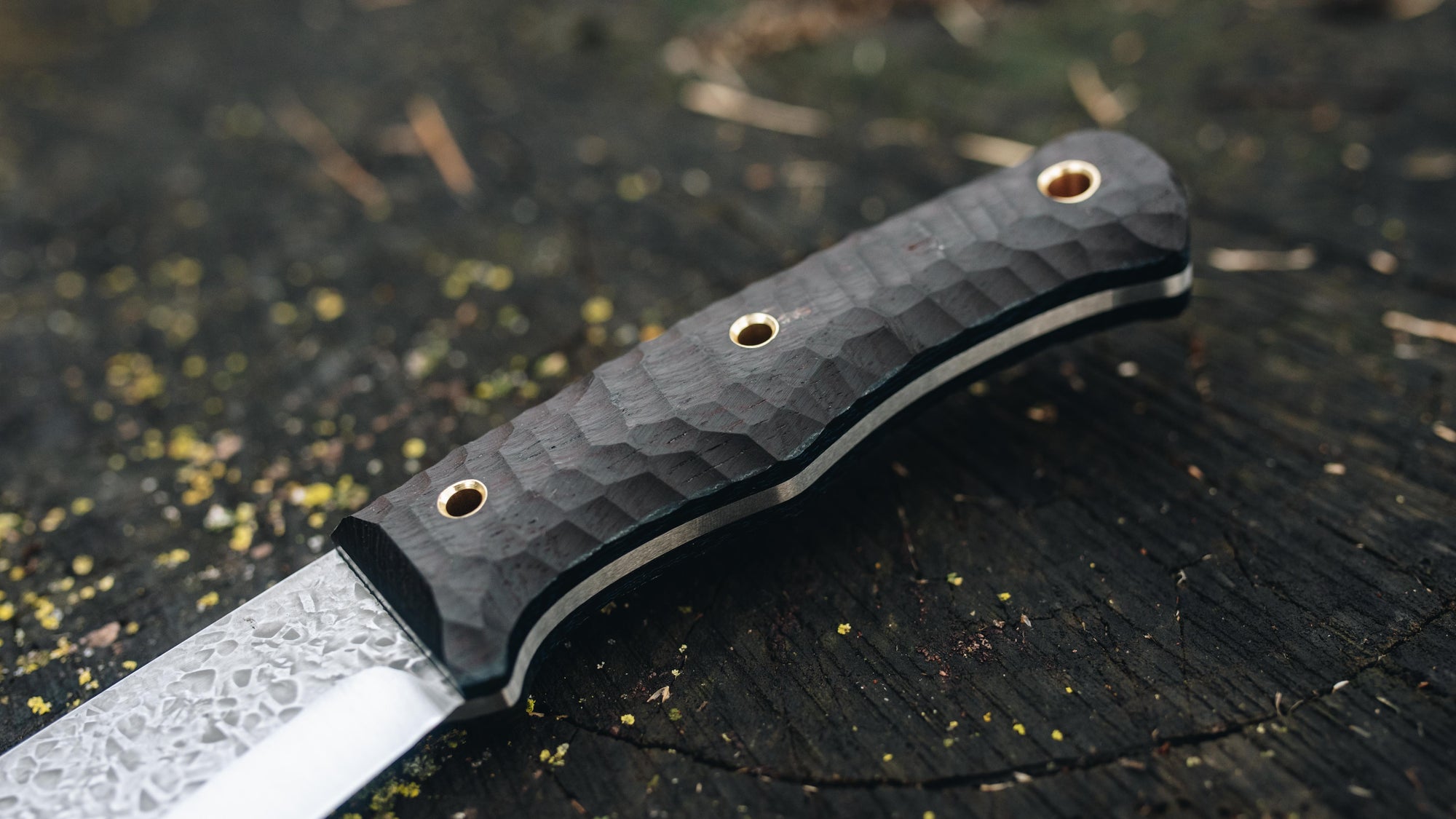 Bullshark - in textured wenge - (Procut)