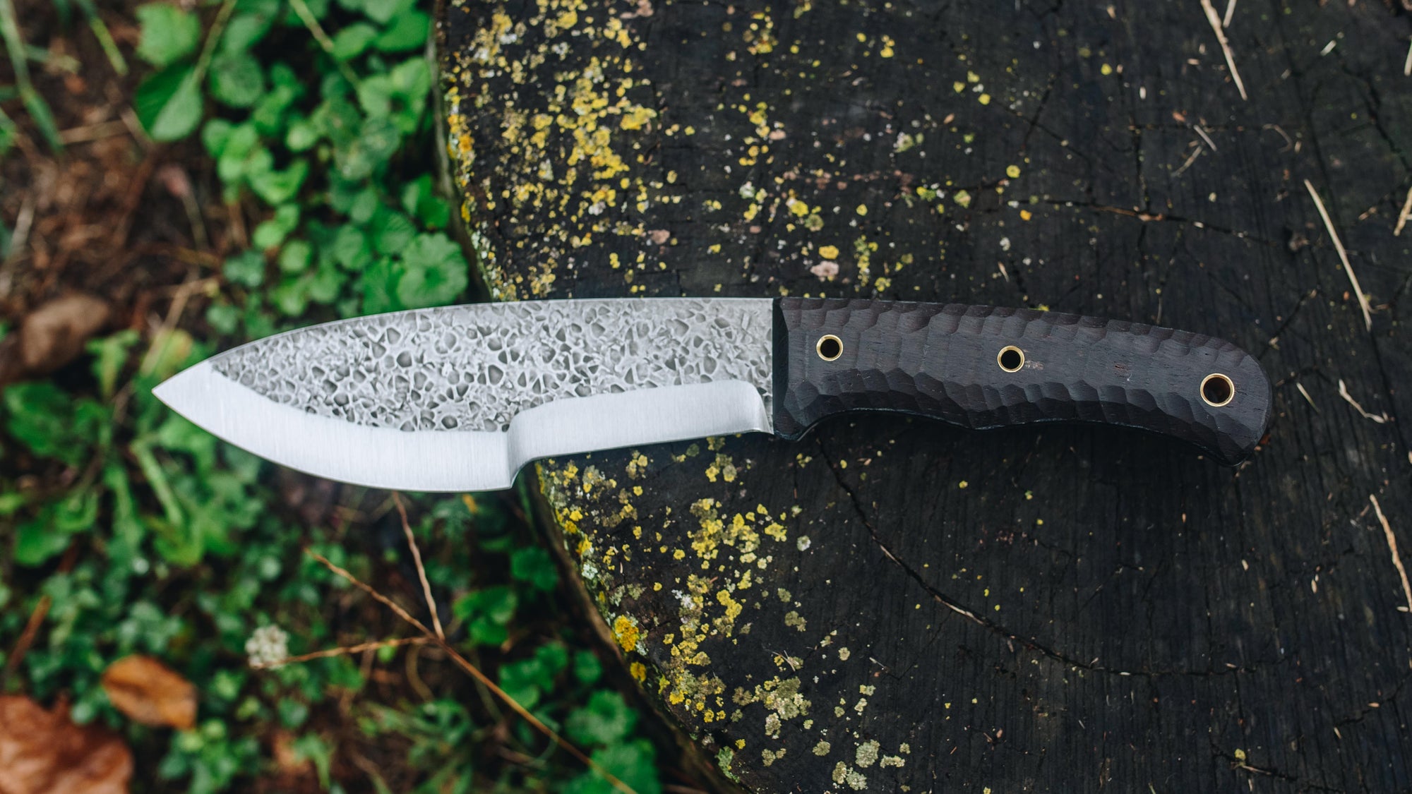 Bullshark - in textured wenge - (Procut)