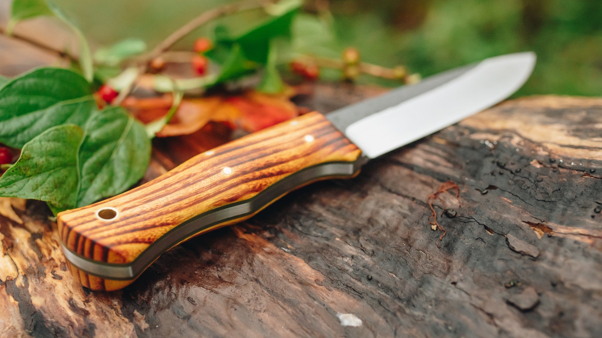 Woodsmaster